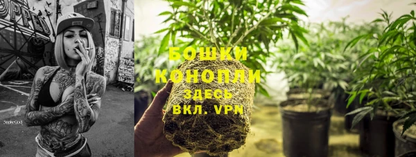 твердый Гусиноозёрск
