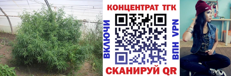 Дистиллят ТГК вейп Купить где Старый Крым